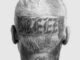 Auto Draft