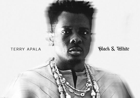 Terry Apala – Sebebe ft. Spellz